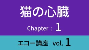 エコー動画講座＆エコークイズ 心臓編（犬・猫）｜GEアニマルエコー（動物超音波）シートン | GE HealthCare (Japan)